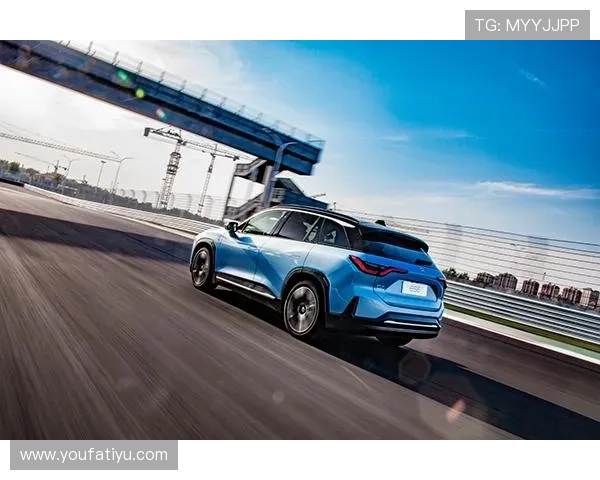 开云体育在线登录入口 最新官方登录渠道安全稳定保障用户体验