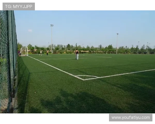 南宫体育平台全面升级打造多功能体育服务新生态